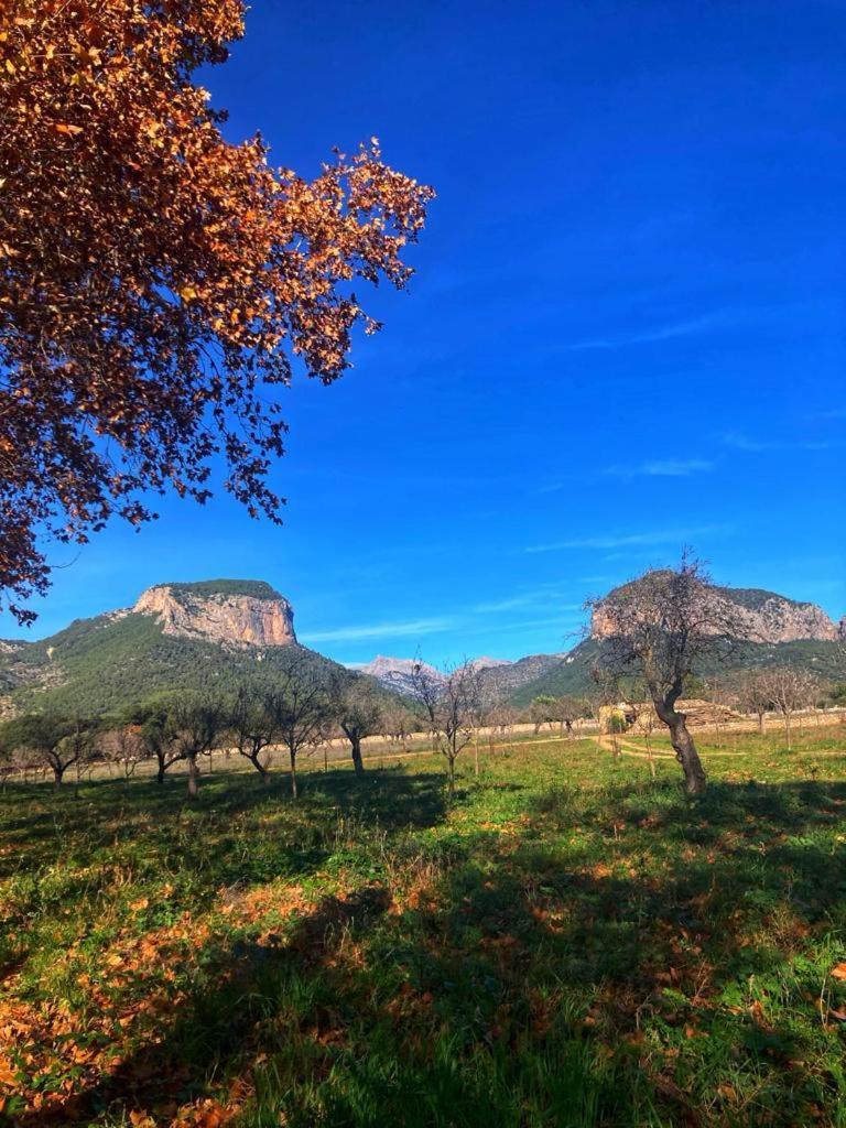 Вилла Son Ribes Аларо Экстерьер фото